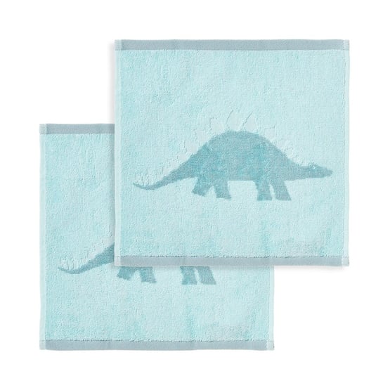 Stegosaurus Aqua Face Washers Pack of 2
