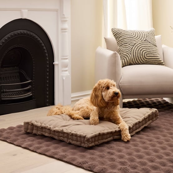 Oasis Fern Pet Bed Cushion