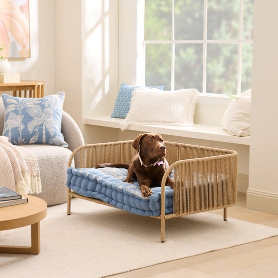 Oasis Resort Palm Blue Pet Bed Cushion