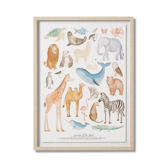 Animals of the World Wall Art