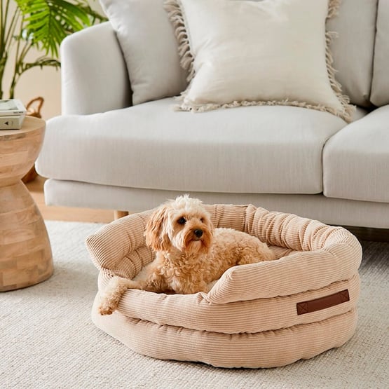 Ziggy Biscuit Corduroy Pet Bed 