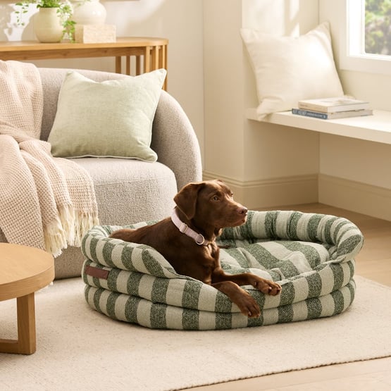 Ziggy Forest & Sage Stripe Pet Bed