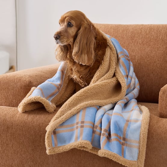 Maisy Blue & Beige Check Pet Blanket