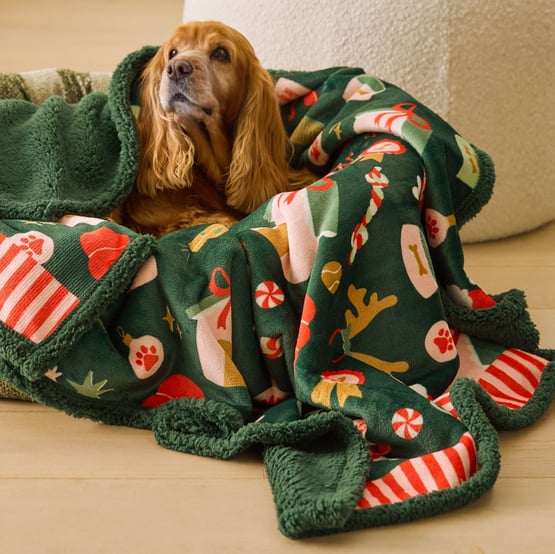 Maisy Festive Best Friends Green Pet Blanket
