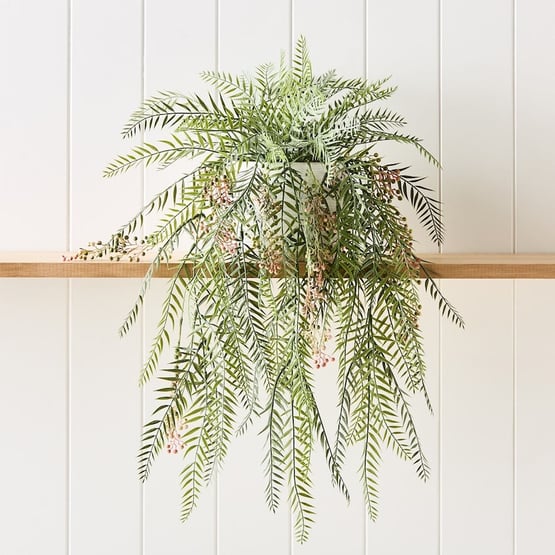 Pepper Silver Green Hanging Fern
