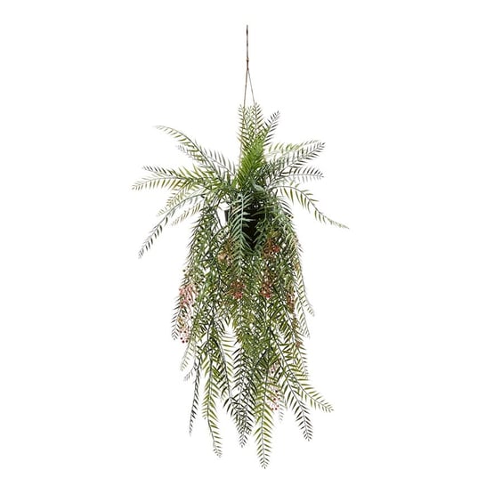 Pepper Silver Green Hanging Fern