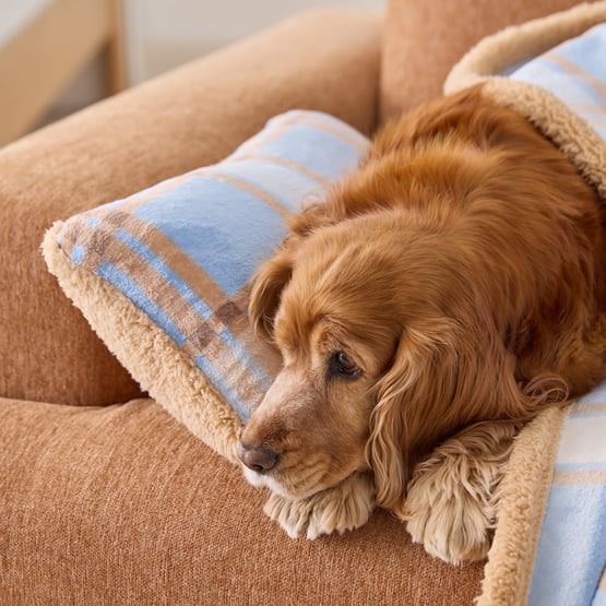 Maisy Blue & Beige Check Pet Pillow