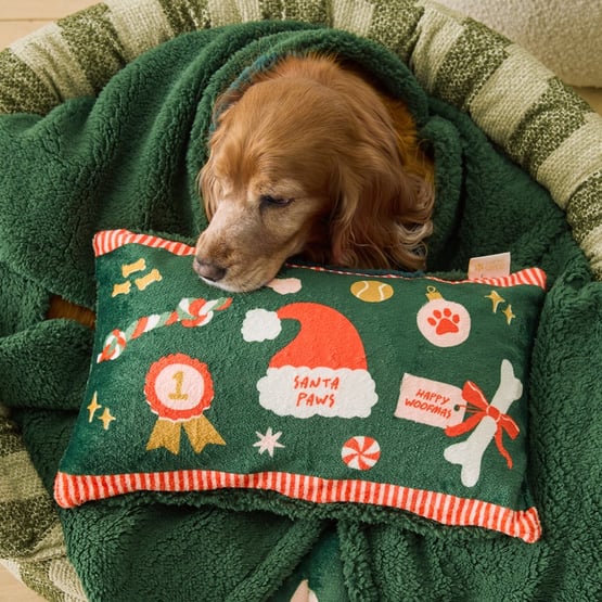Maisy Festive Best Friends Green Pet Pillow