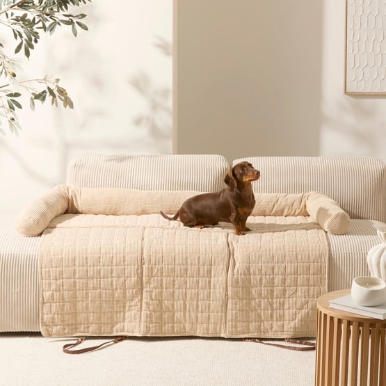 Maisy Biscuit Corduroy Double Fold-Out Pet Bed