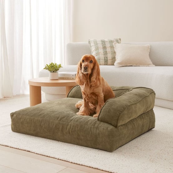 Cooper Forest Couch Pet Bed