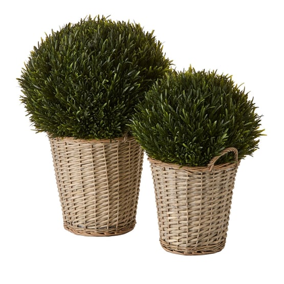 Green Rosemary in Basket