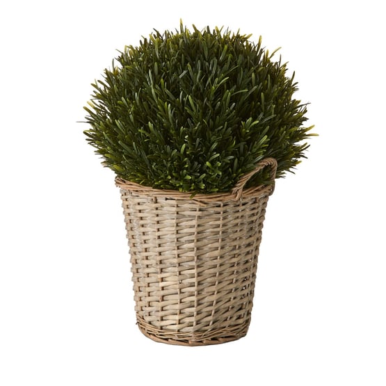 Green Rosemary in Basket