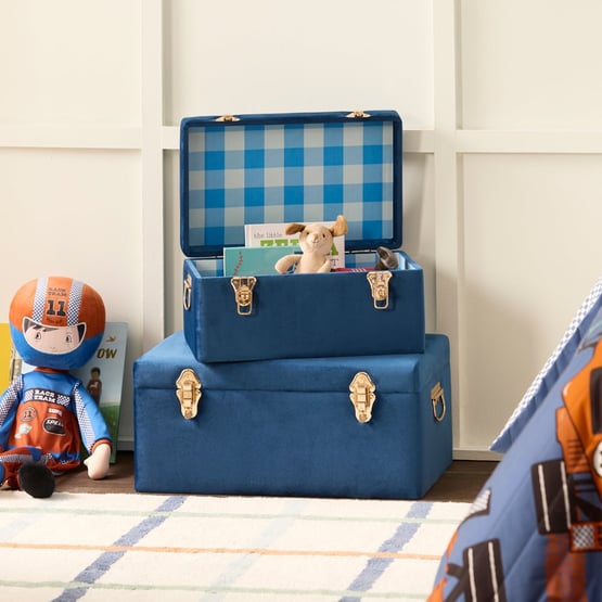 Blue Check Storage Trunk