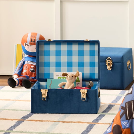 Blue Check Storage Trunk