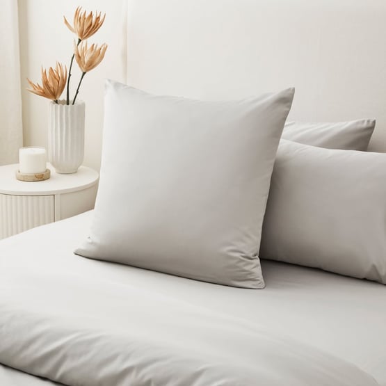 Egyptian Cotton Silver Pillowcases