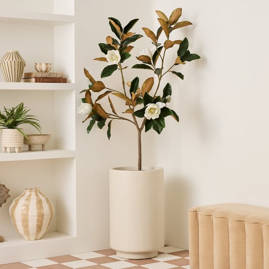 Clovelly Warm White Large Pot