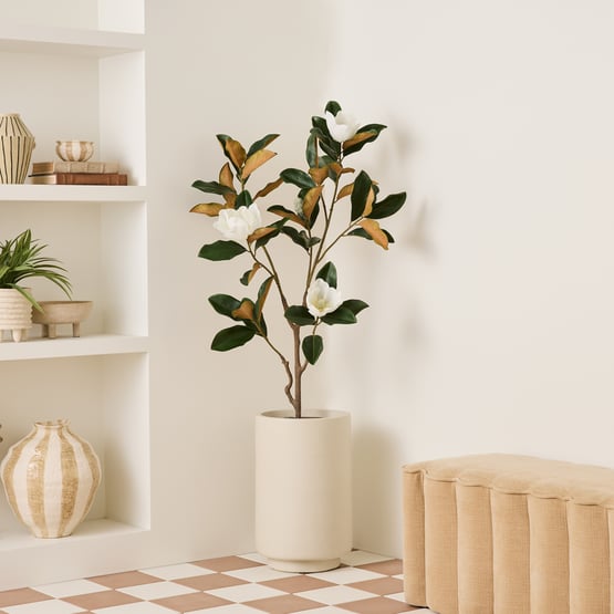 White & Green Potted Magnolia Tree 150cm