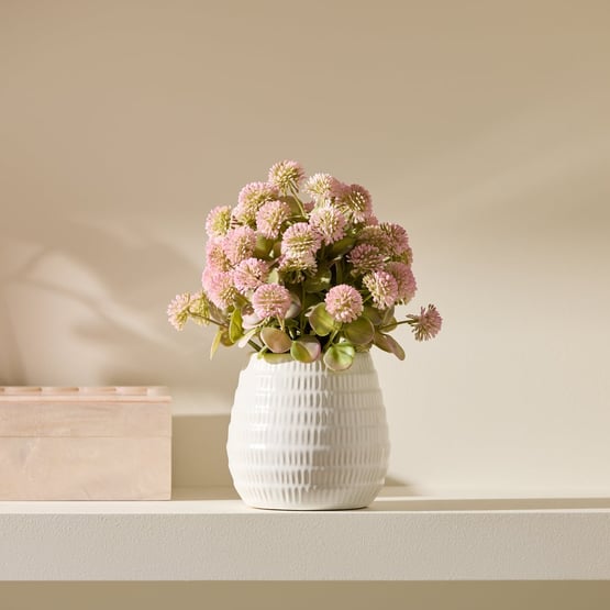 Pink Globe Amaranth Flowers in Ceramic Vase