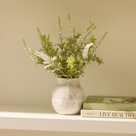 White Lavender in Ceramic Vase