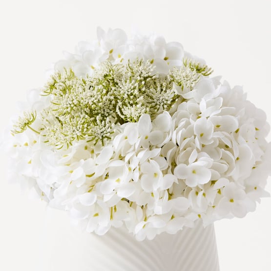 White Hydrangea in Ceramic Vase