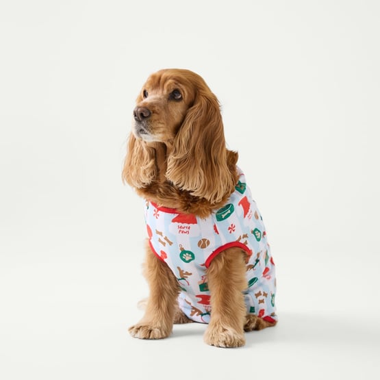 Christmas White & Blue Stripe Pet Pyjamas